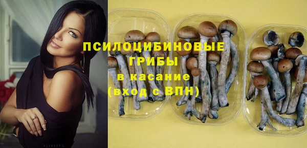COCAINE Богородицк